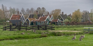 Zaanse Schans