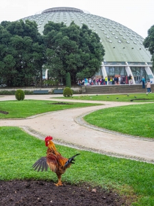 Palacio de Cristal.