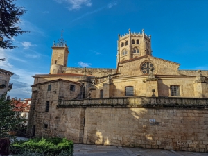 Catedral de San Martín. Ourense.